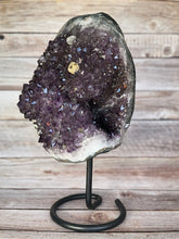 Load image into Gallery viewer, Exquisite Amethyst Geode with Fossil Inclusion