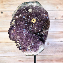 Load image into Gallery viewer, Exquisite Amethyst Geode with Fossil Inclusion