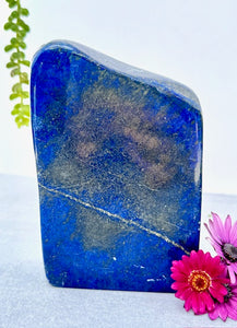 Lapis Lazuli Freeform