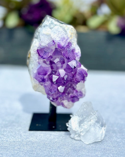 Delicate Amethyst Crystal Cluster