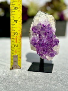 Delicate Amethyst Crystal Cluster