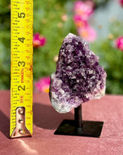 Load image into Gallery viewer, Petite Amethyst Crystal Cluster
