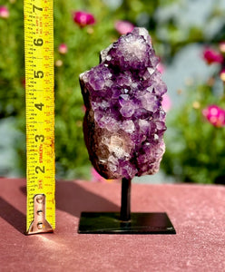 Amethyst Cluster