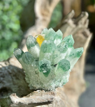 Load image into Gallery viewer, Vibrant Fluorite Cactus Cluster
