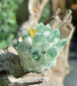 Vibrant Fluorite Cactus Cluster