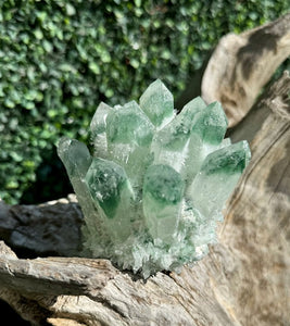 Vibrant Fluorite Cactus Cluster