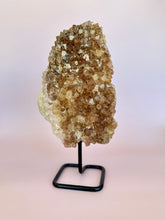 Load image into Gallery viewer, Raw Citrine Display
