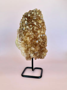 Raw Citrine Display