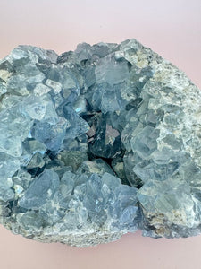 Celestial Harmony - Celestite Geode