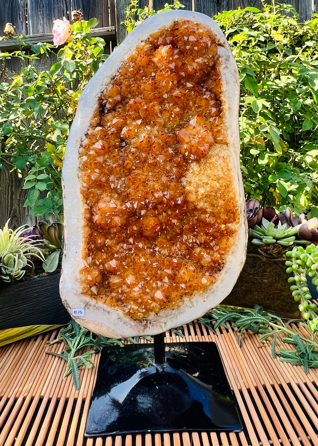 Radiant Citrine Geode (with stand)