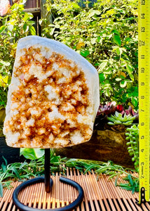 Radiant Raw Citrine Crystal with Clear Quartz Inclusions