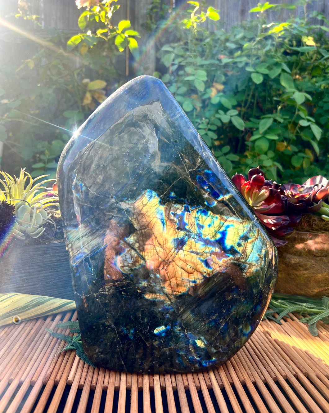 Grandeur of Labradorite Showcase