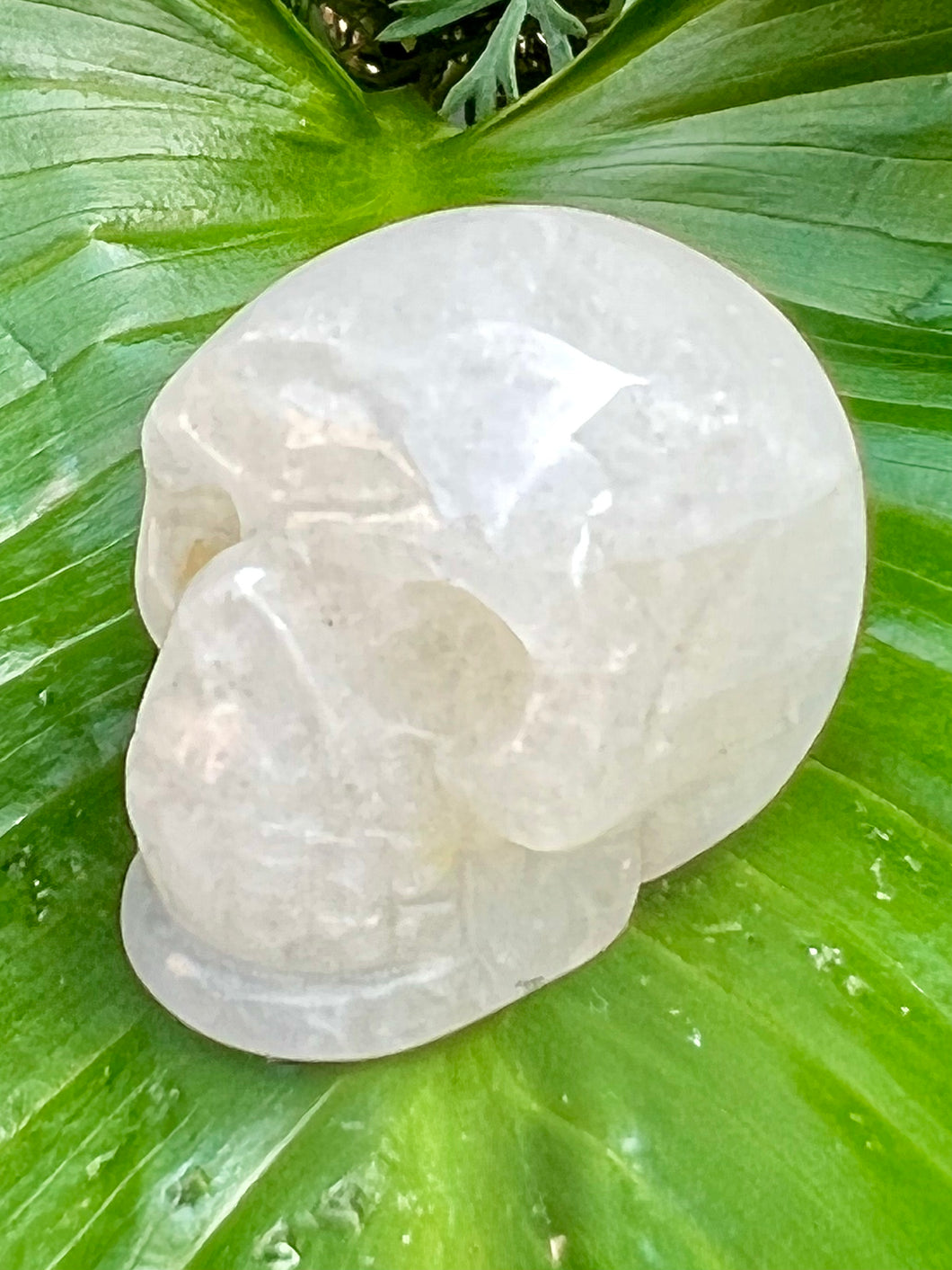 Calaveras de cristal