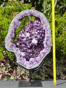 Spectacular Amethyst Geode