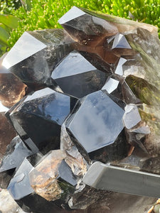 Smoky Quartz Masterpiece