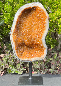 Radiant Citrine Geode