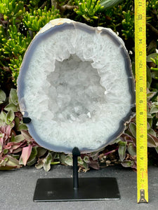 Lustrous Clear Quartz Geode