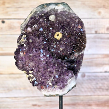 Load image into Gallery viewer, Exquisite Amethyst Geode with Fossil Inclusion
