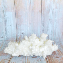 Load image into Gallery viewer, White Aragonite Cluster Collection
